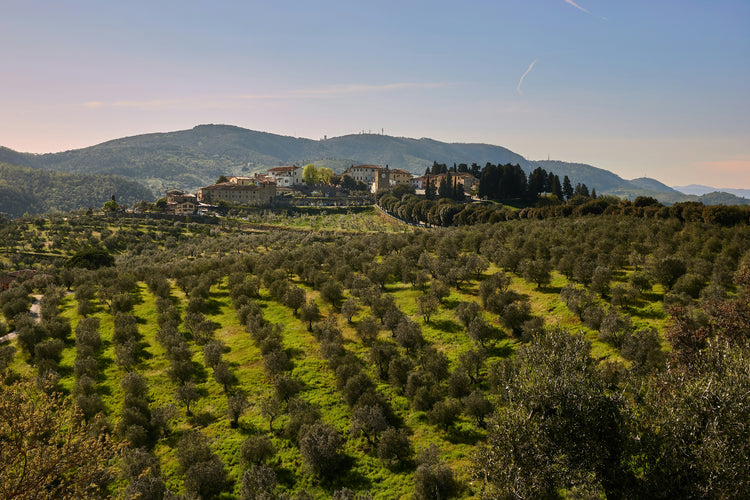 Azienda Agricola Iamello Giuseppe